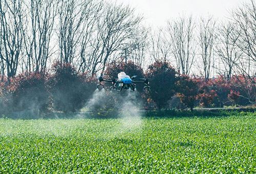 La devozione del coreano con i droni agricoli