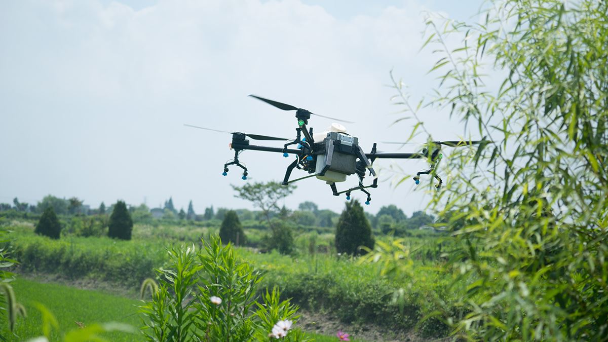 Il controllo del volo dei droni per la protezione delle piante aiuta le malat...